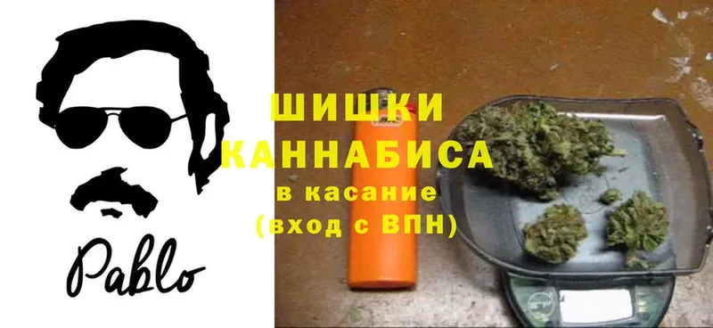 где продают наркотики  Шатура  Каннабис конопля 